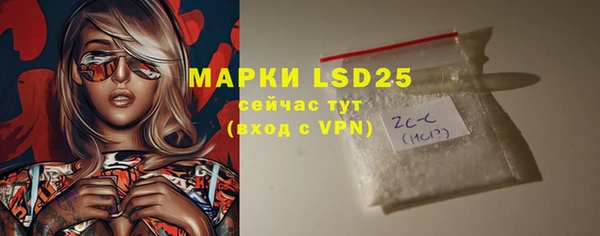 прущая мука Вяземский