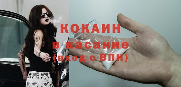 прущая мука Вяземский