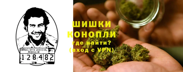 прущая мука Вяземский