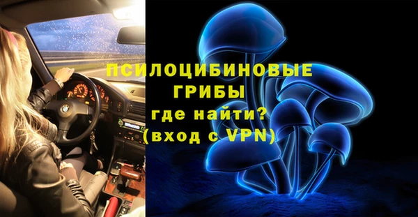 прущая мука Вяземский
