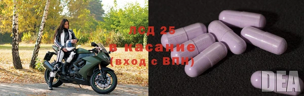 прущая мука Вяземский