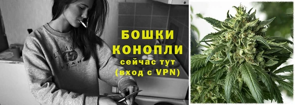 прущая мука Вяземский