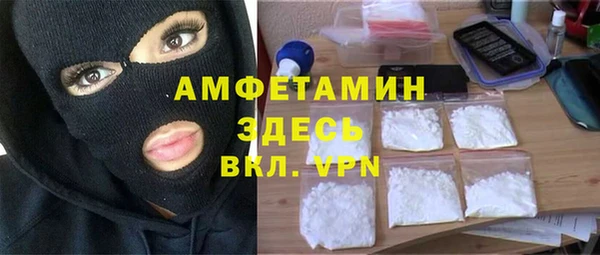 прущая мука Вяземский
